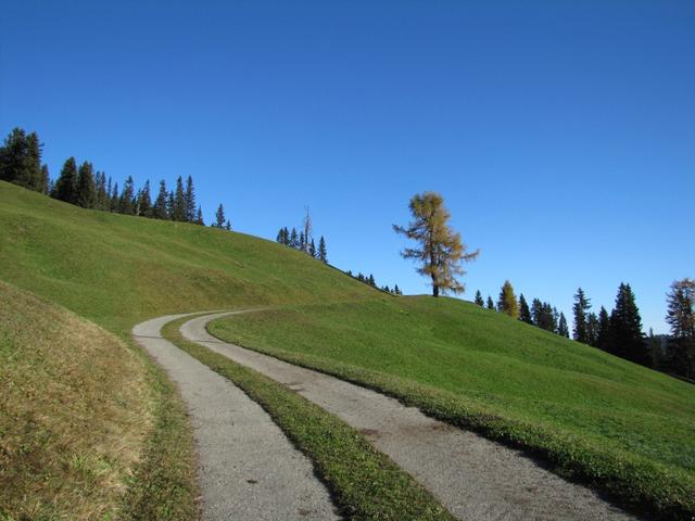 wir haben Usserbärg 1644 m.ü.M. hinter uns gelassen und wandern nun nach Allmeinihütta