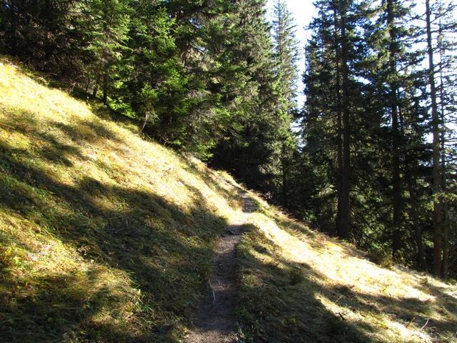 über einen duftenden Bergwald führt der einfache Wanderweg aufwärts Richtung Tenner Chrüz