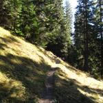 über einen duftenden Bergwald führt der einfache Wanderweg aufwärts Richtung Tenner Chrüz