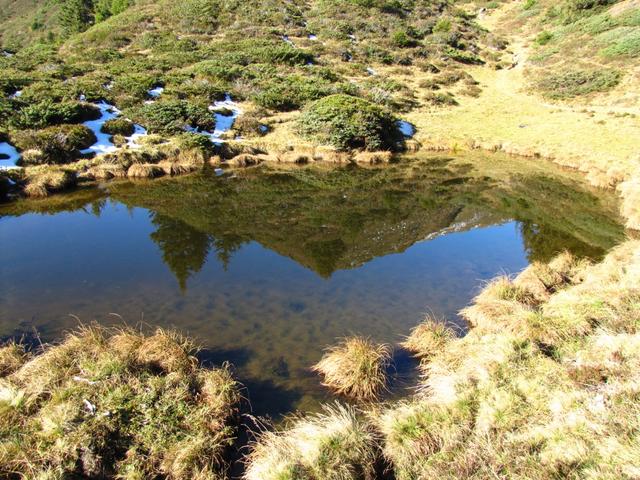 der Wanderweg führt an einen kleinen See vorbei