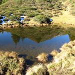 der Wanderweg führt an einen kleinen See vorbei