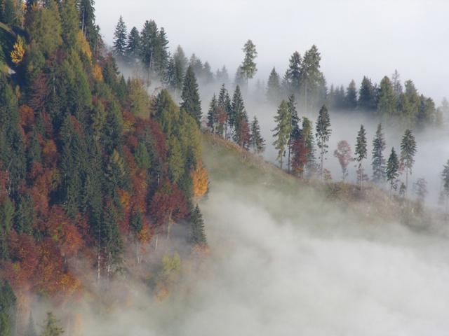 tief unter uns ein dichtes Nebelmeer