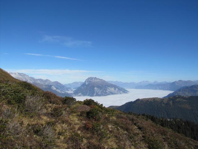 ein letzter Blick auf das Nebelmeer im Churer Rheintal und den Haldensteiner Calanda