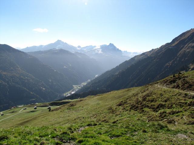 auf dem Weg hinunter nach Tenna. Was für eine schöne Aussicht ins Safiental