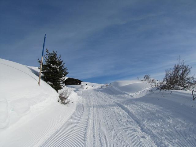auf dem Winterwanderweg Richtung Skihaus Hochwang