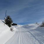 auf dem Winterwanderweg Richtung Skihaus Hochwang