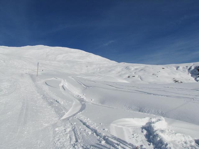 Blick von der Berghütte Hochwang hinauf Richtung Cunggel - Muschgel. Dort hinauf geht es nun