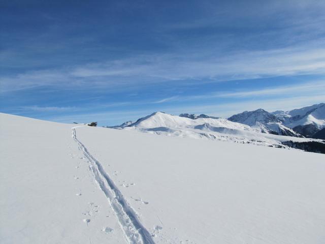 bei Punkt 2207 auf Alp Cunggel haben wir das "steilste" Stück schon hinter uns. Vor uns am Horizont der Mattjischhorn