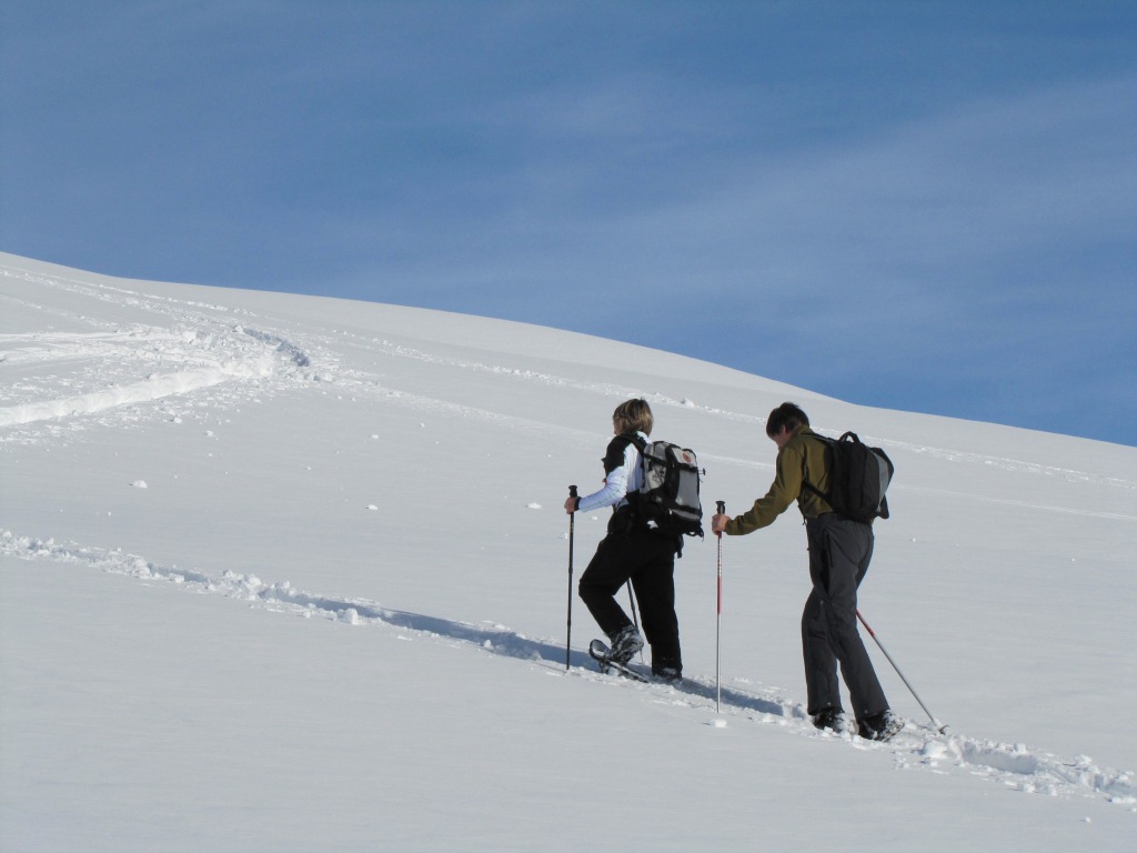 am Fusse des Gunggel auf 2300 m.ü.M.