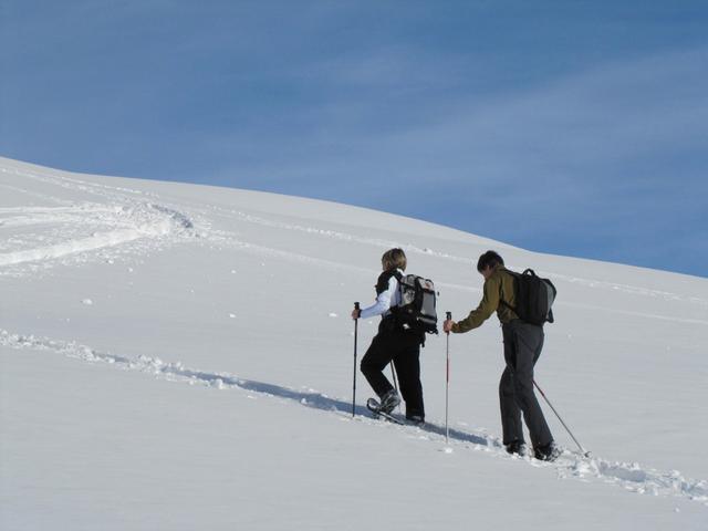 am Fusse des Gunggel auf 2300 m.ü.M.