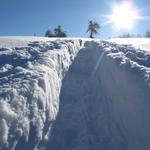 zum Glück können wir eine Spur Erben. Im Tiefschnee währe dies ein Kraftakt