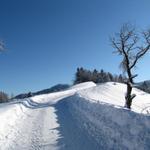 auf der gepfadeter Strasse geht es weiter nach Burstel