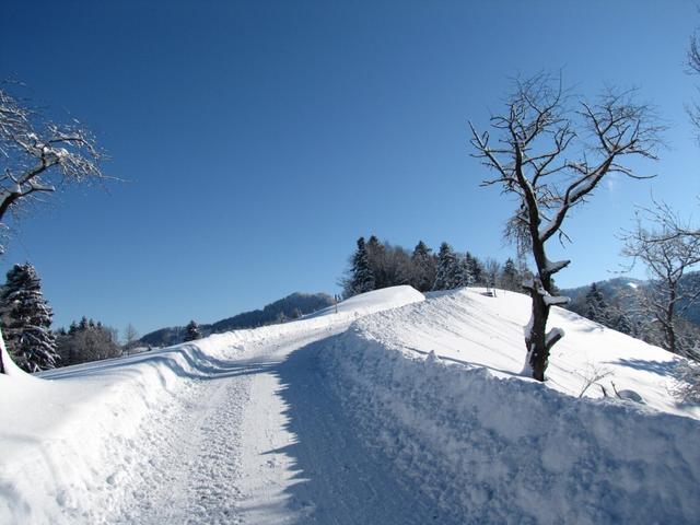 auf der gepfadeter Strasse geht es weiter nach Burstel