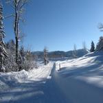 solche Verhältnisse gibt's im Winter nicht oft