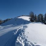 der Schneeschuweg, führt uns nun den ganzen Tag, von Hügel zu Hügel