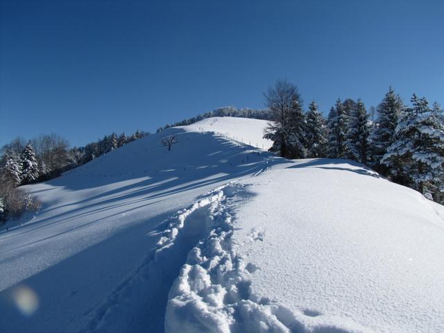 der Schneeschuweg, führt uns nun den ganzen Tag, von Hügel zu Hügel