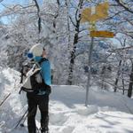 beim Wegweiser Rotengübel. Hier treffen wir wieder auf den schmalen Weg, den wir nicht genommen haben