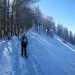 diese Tour ist ein wahres Hügel springen. Der grösste, der Schnebelhorn liegt nun vor uns