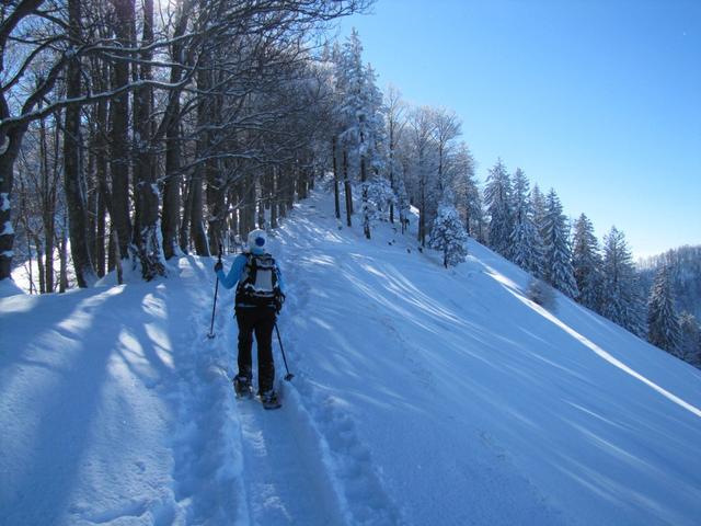 diese Tour ist ein wahres Hügel springen. Der grösste, der Schnebelhorn liegt nun vor uns