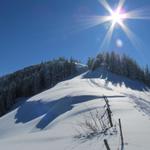 Blick hinauf zum Schnebelhorn