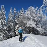 am schönsten sind die verschneiten Bäume