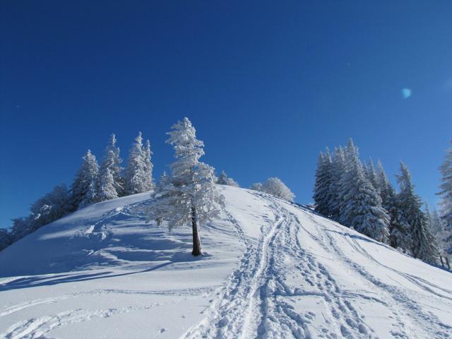 die letzten Meter vor dem Schnebelhorn. Der höchste Gipfel des Kanton Zürich