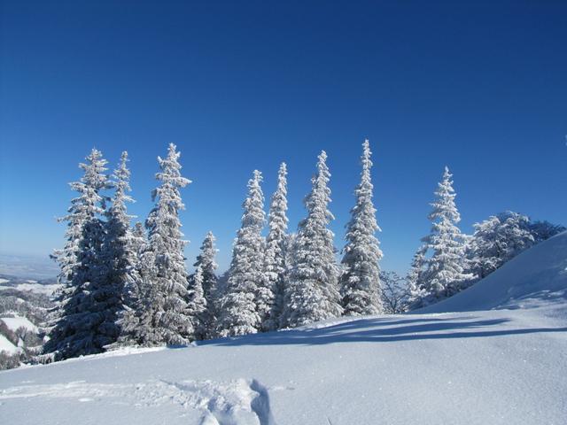 wir befinden uns nicht in Norwegen oder Finnland. Wir sind im Zürcher Oberland