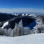 Breitbildfoto vom Schnebelhorn mit Blick Richtung Zürichsee