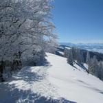 auf der anderen Seite des Schnebelhorn geht es nun wieder abwärts