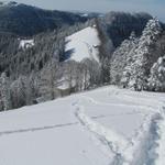 einfach Spass pur. An so einem Hang mit den Schneeschuhen runter zu laufen