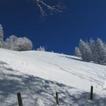 Blick hinauf zum Hang den wir vorher mit grossem Verknügen runtergelaufen sind