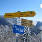 Wegweiser bei Tierhag 1140 m.ü.M.