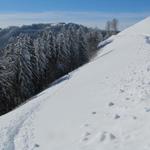 von der Strasse sind wir links abgebogen und laufen nun im Tiefschnee abwärts