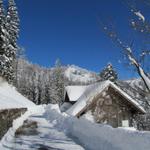 Blick hinauf zum Schnebelhorn