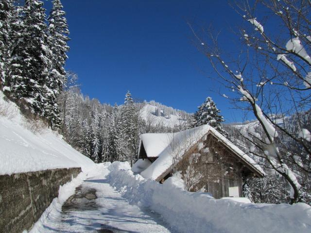 Blick hinauf zum Schnebelhorn