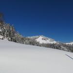 letzter Blick auf das Schnebelhorn