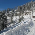 auf der gepfadeten Strasse laufen wir nach Strahlegg