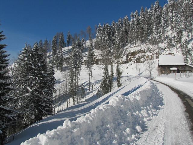 auf der gepfadeten Strasse laufen wir nach Strahlegg