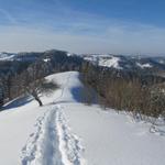 auf der Hangkuppe geht es im Tiefschnee abwärts