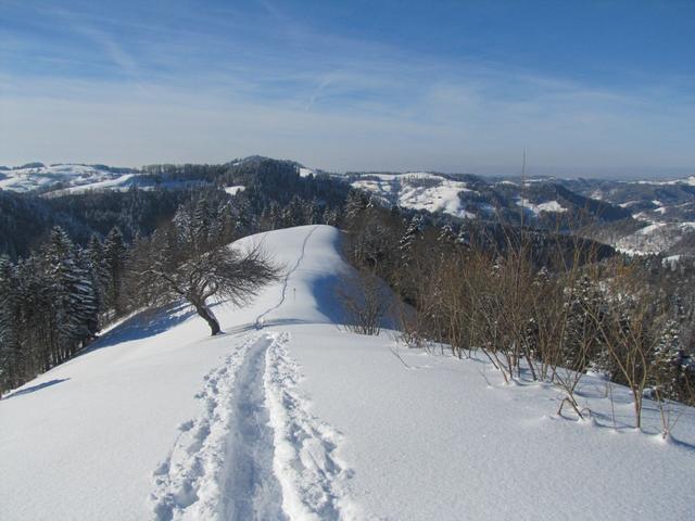 auf der Hangkuppe geht es im Tiefschnee abwärts