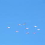 eine Kunstflugstaffel fliegt über unsere Köpfe vorbei