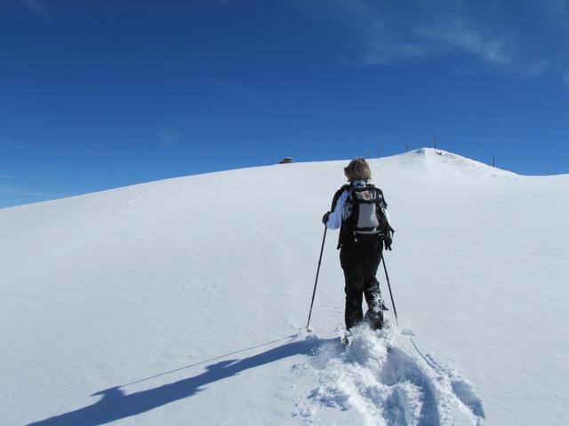 Mäusi legt nun im Tiefschnee die Spur, und ist kurz davor den Chamerstock zu erreichen