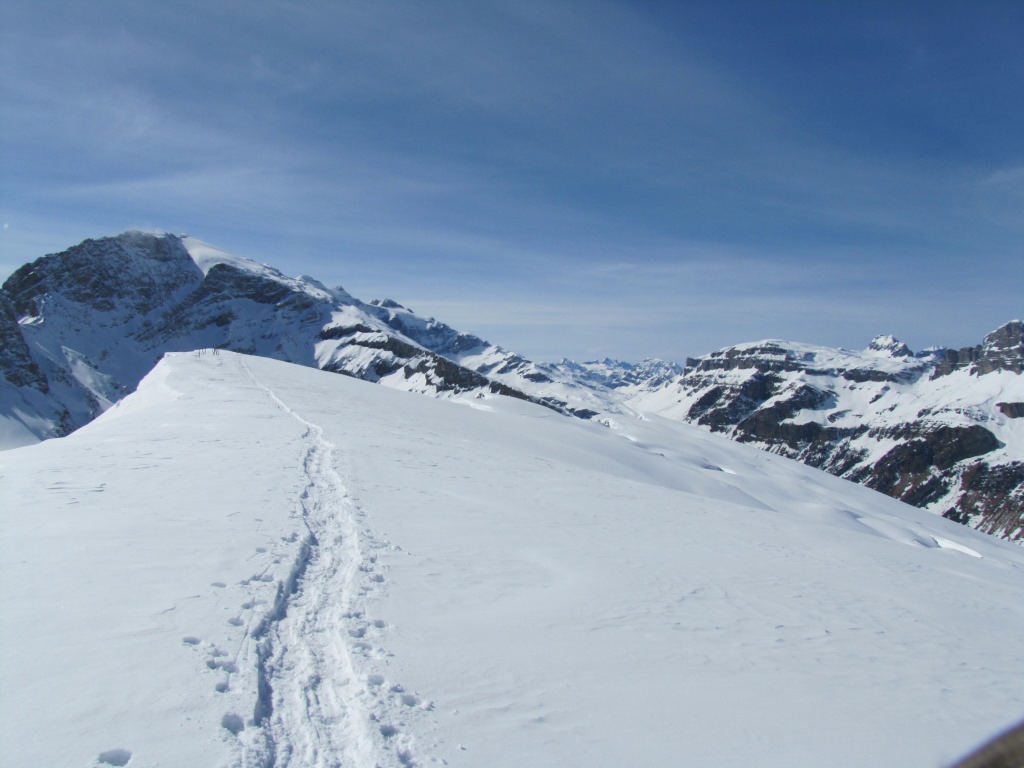 wir verlassen den Chamerstock, wie wir gekommen sind. Blick auf Gemsfairenstock, Clariden und Klausenpass