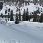 die Schlittelbahn (im Sommer die Alpstrasse) zieht grosse Schleifen. Wir kürzen ab und laufen geradeaus abwärts