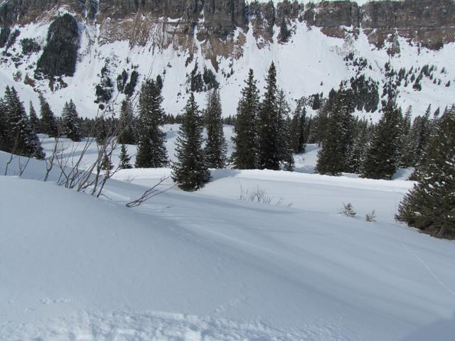 die Schlittelbahn (im Sommer die Alpstrasse) zieht grosse Schleifen. Wir kürzen ab und laufen geradeaus abwärts