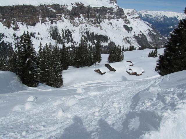 Blick auf die Alphütten von Wängi