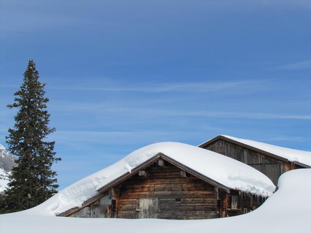 hier oben in Wängi 1710 m.ü.M. ist mitte März immer noch alles tief verschneit