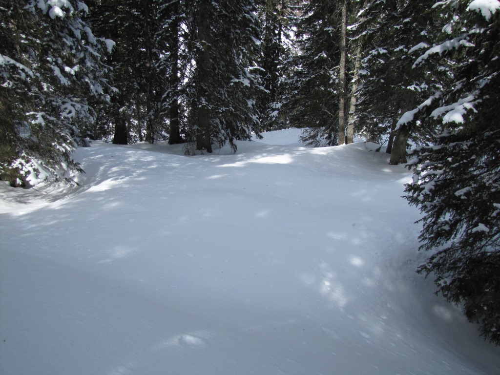 durch den Wängiswald laufen wir weiter abwärts, und treffen kurz vor Punkt 1559 m.ü.M. auf die Schlittelbahn