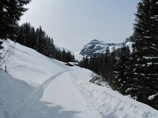 alles auf der Schlittelbahn, laufen wir nun weiter abwärts und befinden uns nun kurz vor Punkt 1559 m.ü.M.