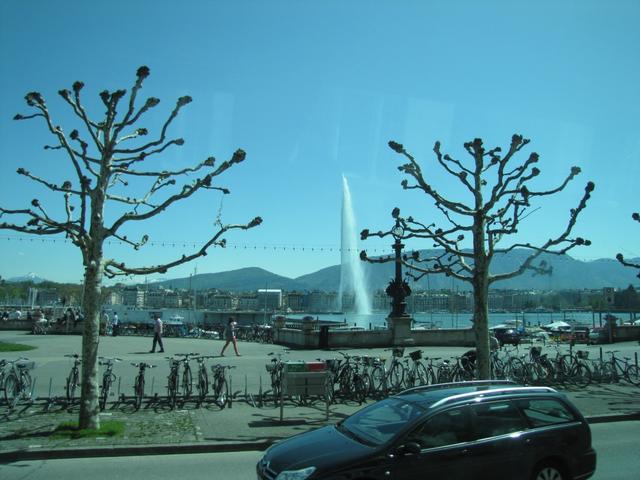 wir haben Genf erreicht. 2009 verliessen wir hier auf dem Jakobsweg die Schweiz